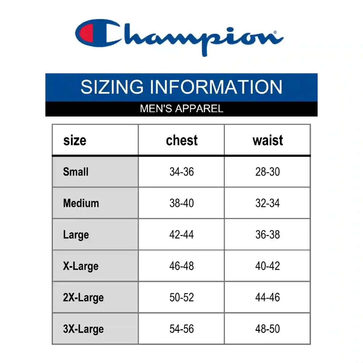 Champion Mens And Big Mens Script Logo Classic Jersey Graphic Tee Shirt1