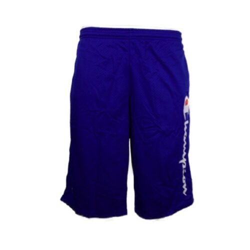 Champion Men's Shorts Mesh Athletic Elastic Waist Bottoms Big & Tall